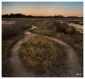 150213-Redfish-001-Edit-2-2