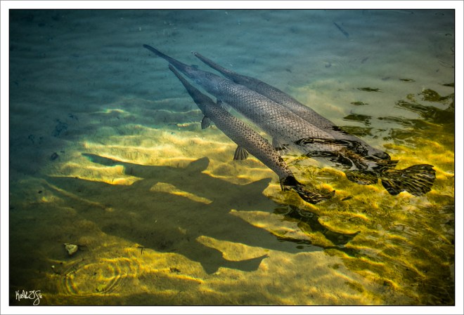 150403-wildlifepark-093