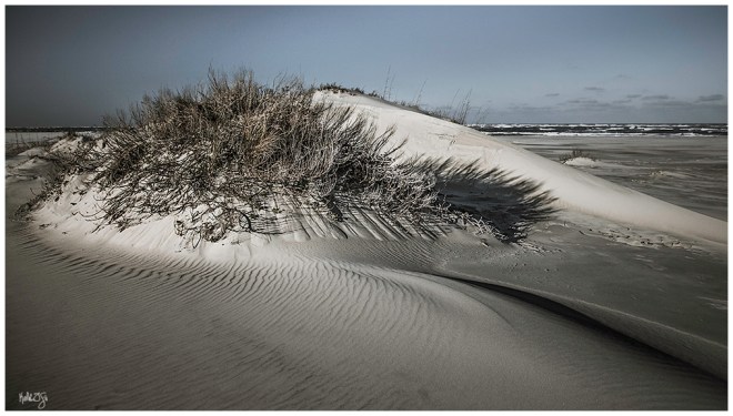 160205-Hatteras-243 color